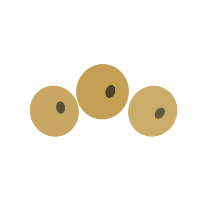 soybean
